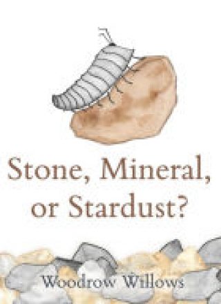 Stone, Mineral, or Stardust? by