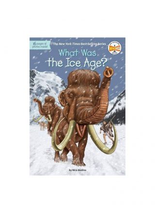 What Was the Ice Age? by Medina, Nico, Who HQ